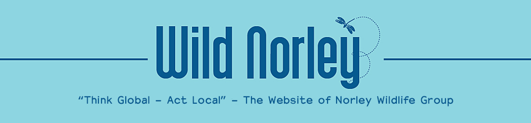 Norley Wildlife Group