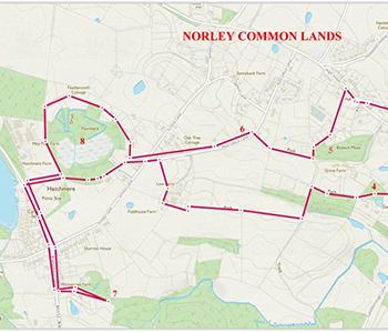 Norley Commons/Mosses